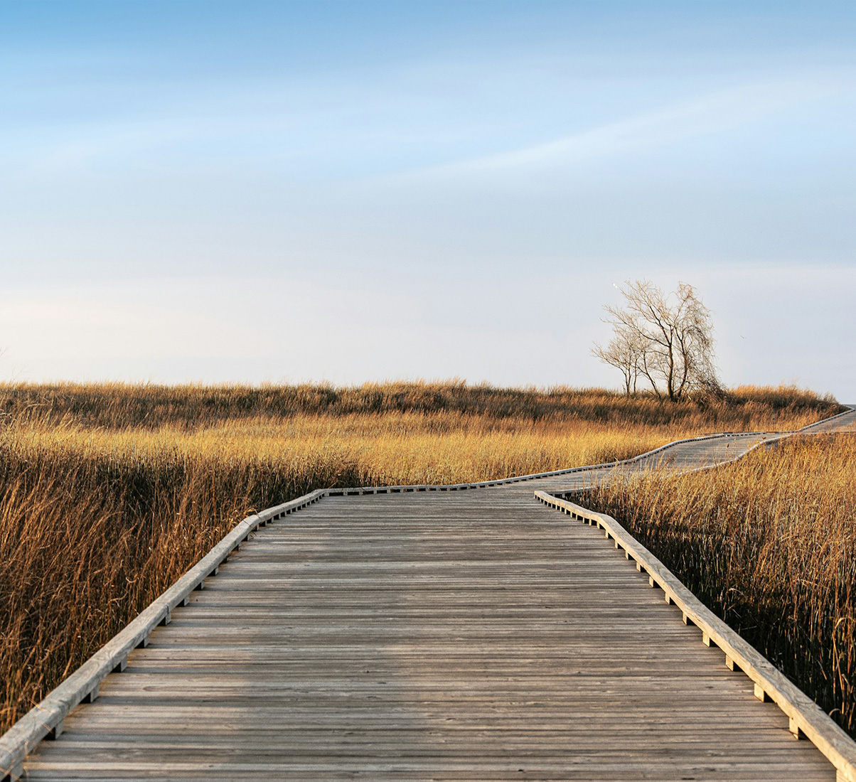 Le chemin vers l'avenir
